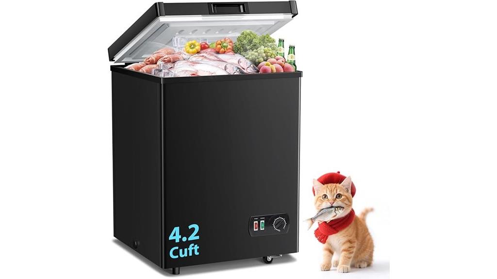 compact freezer for storage