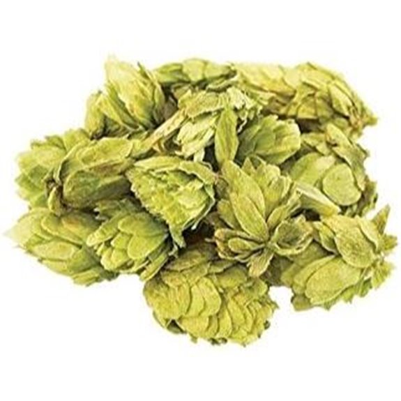 HCAS2W Hop (Whole) - Cascade (2 oz)