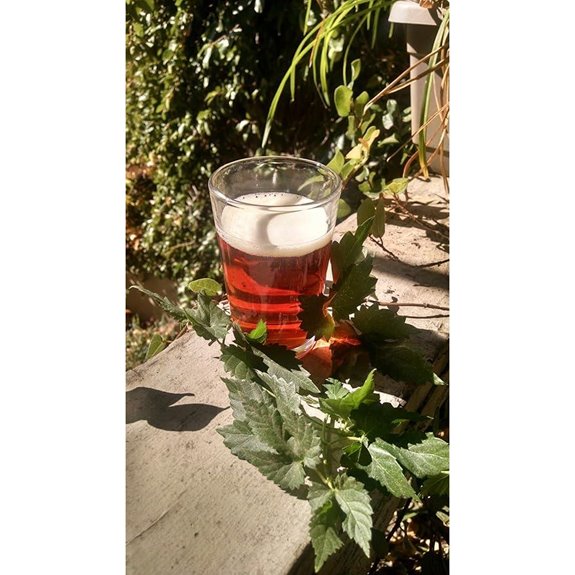 1 Gallon Beer Recipe (Session IPA)