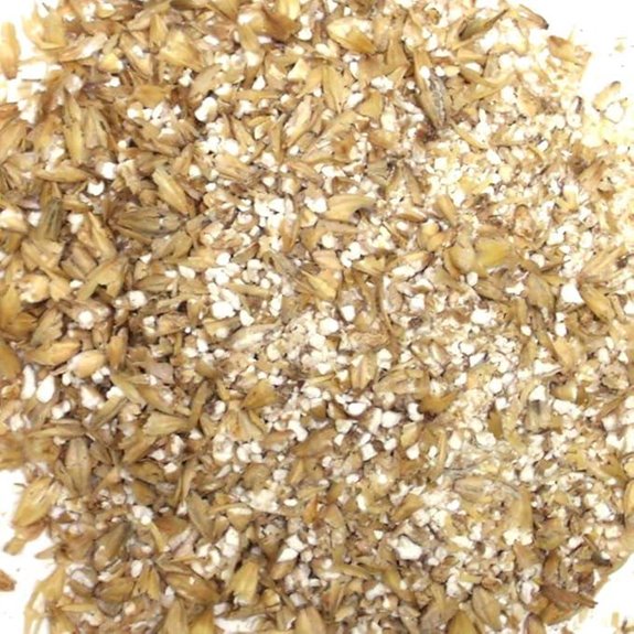 Two Row Malted Barley for Brewing Distilling - 10 lbs Crushed