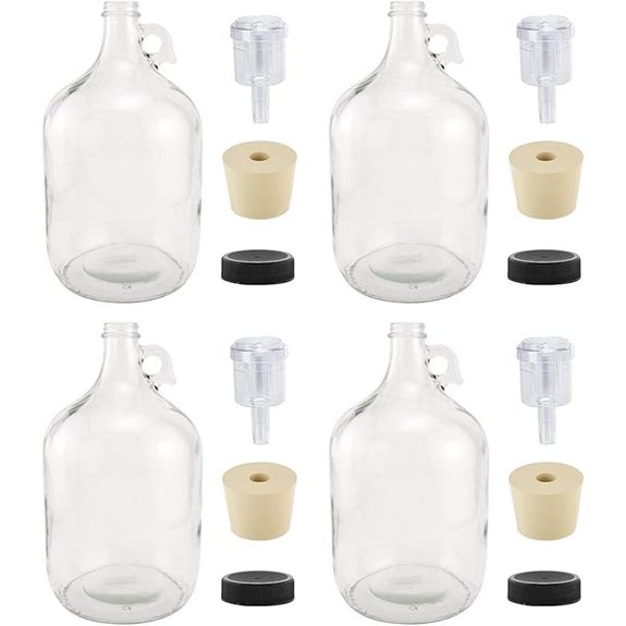 North Mountain Glass Fermentation Jugs (Set of 4)